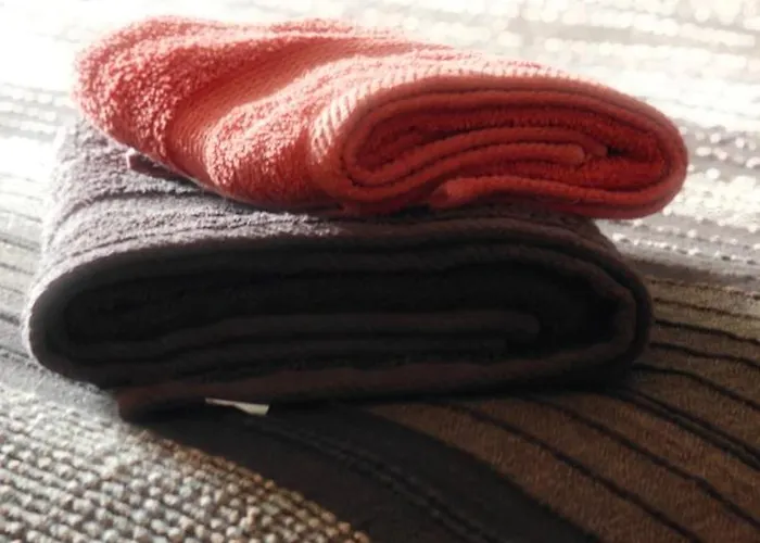 Twenty Daffodil * San Pawl il-Baħar